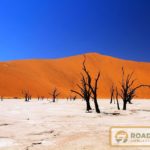 Deadvlei Namibie