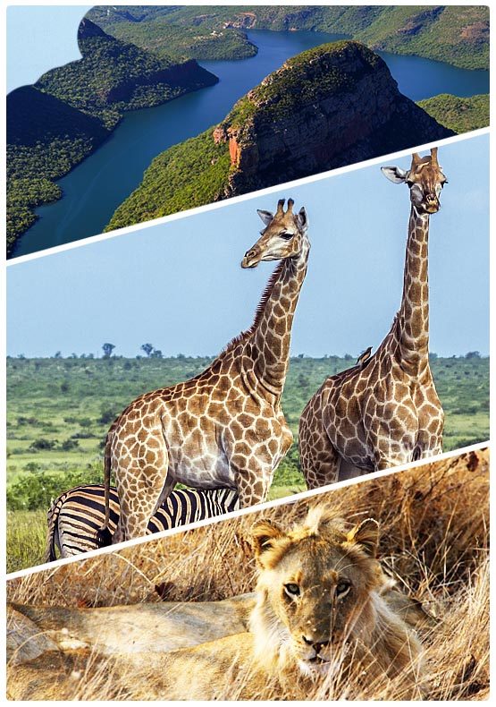 Panorama route + Kruger, JAR Safari